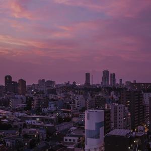 黄色三级电影片
